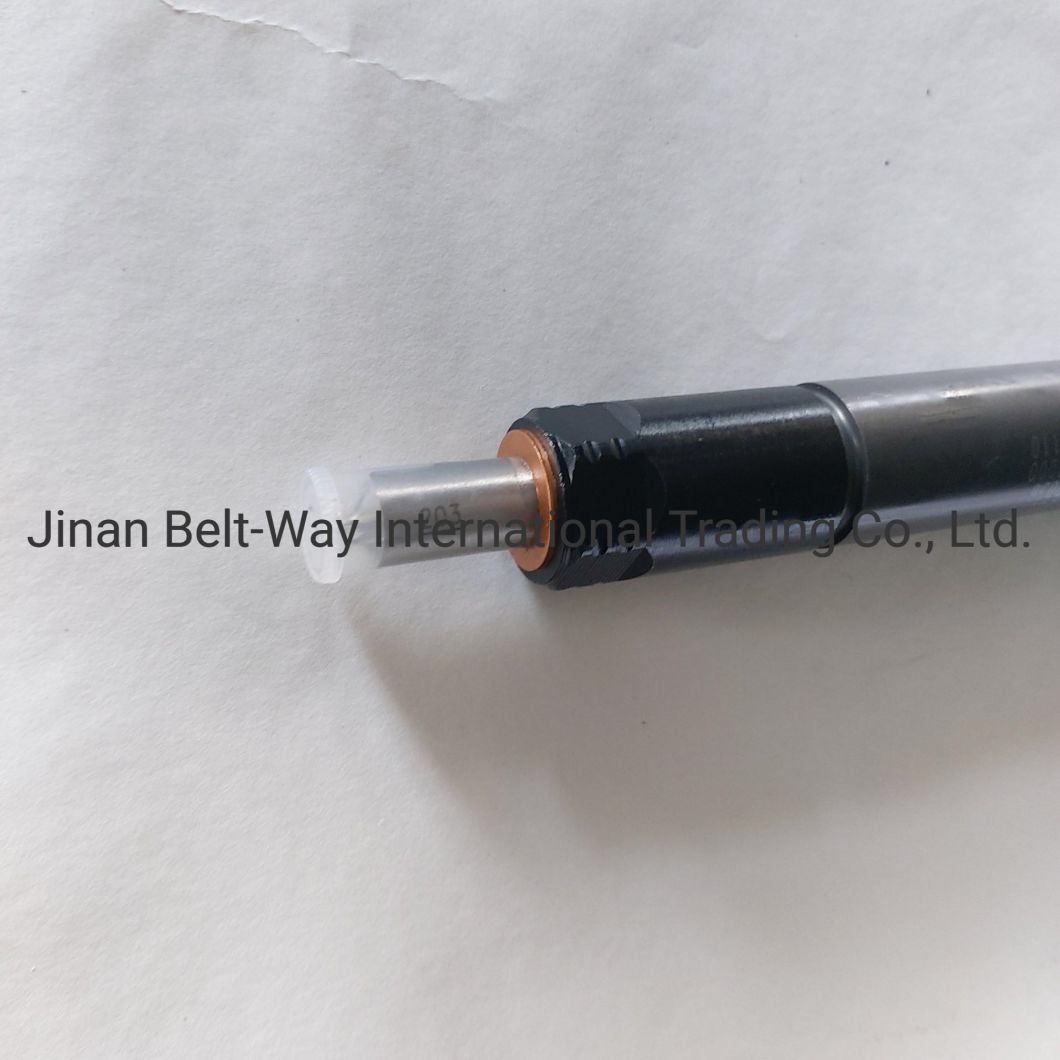 Sinotruk HOWO Parts Truck Parts Truck Spare Parts Fuel Injector Vg1560080276