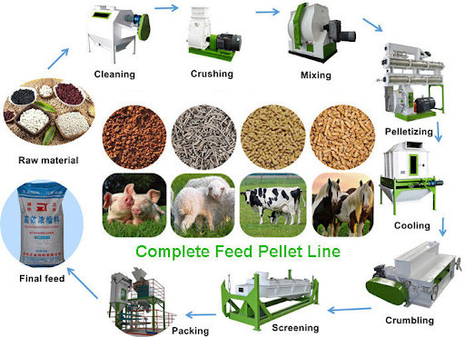 22kw 2TPH Chicken Feed Production Line Small Poultry Feed Making Machine