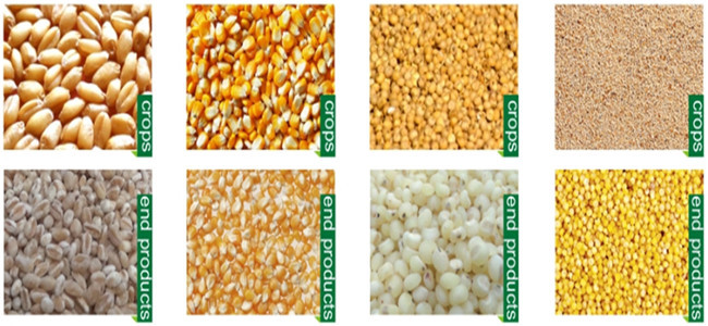 Multi function Maize/corn Peeling Machine with polishing