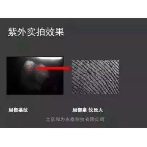 Untreated fingerprints Forensic Equipment , Full - Wave CCD Forensic Evidence