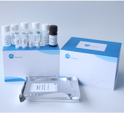 Research Use MSDS Elisa Test Kit Human Il-17 Interleukin 17
