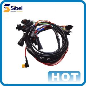 China Factory Customized Connector Wire Harness Engine Injector Wire Harness fuel pump wiring harness on sale