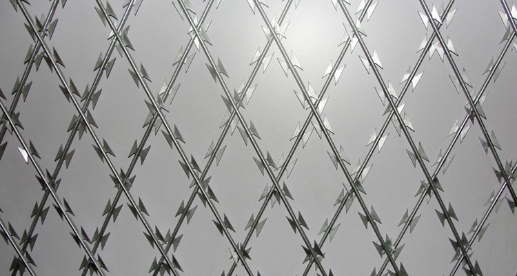 Electro Galvanized1.5mmx1.5mm Diamond Welded Razor Wire Mesh