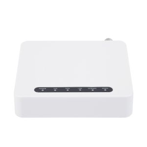 Port Forwarding Loop Detection CATV 1Ge FTTH ONT With RF Port For Broadband