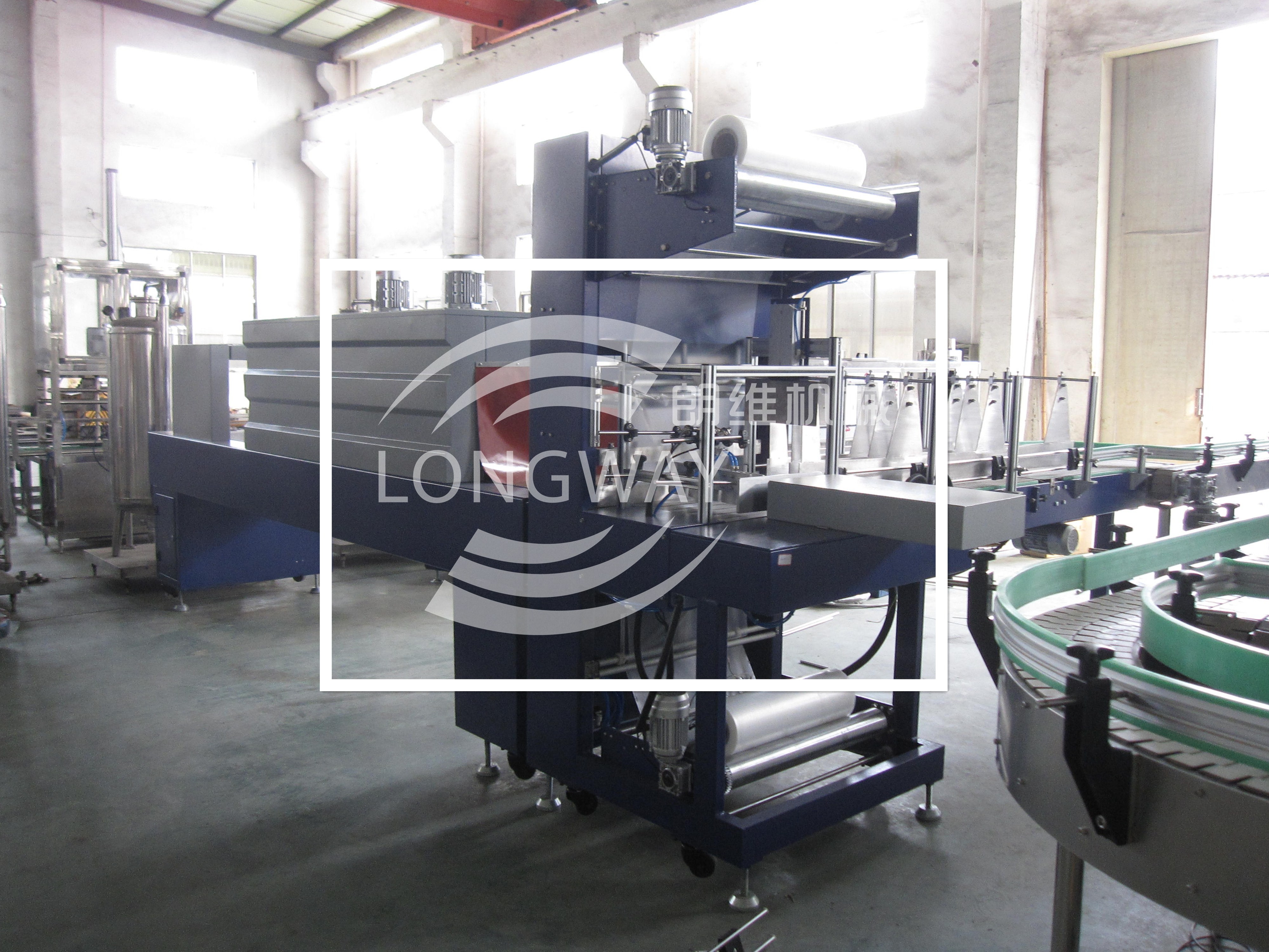 Long warranty 3 in 1 Automatic Gas drink Rotary Rinser Filler capper machine