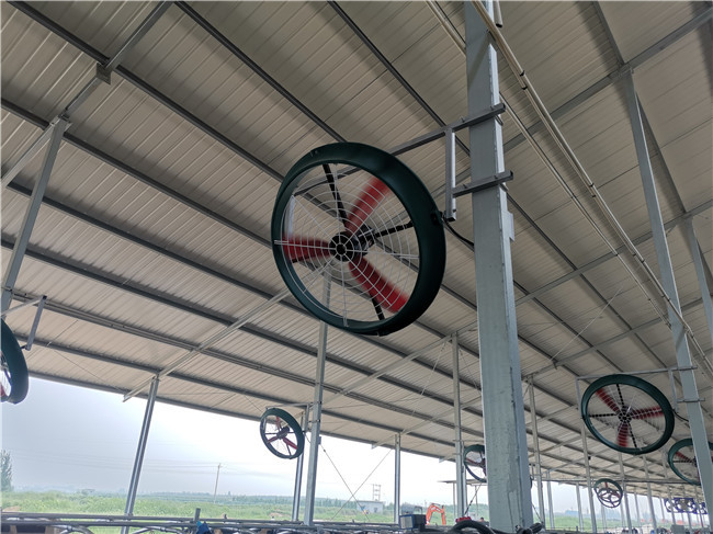 Ss Pe Hanging Ventilation Fan VC 101 Pe 485W Cow Shed Fans