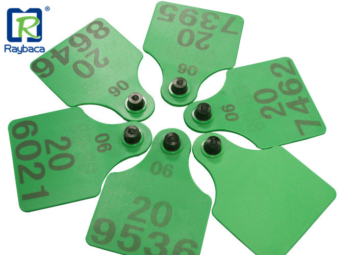 Cattle Identification RFID Livestock Tags UHF Ear Tags Big Size Long Reading Distance