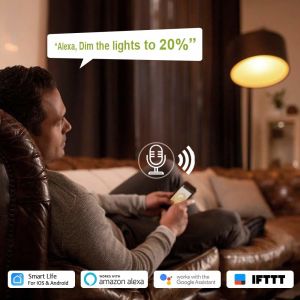 Glomarket Tuya Wifi Smart Home Lamp Switch Wireless Remote Work With App/Alexa