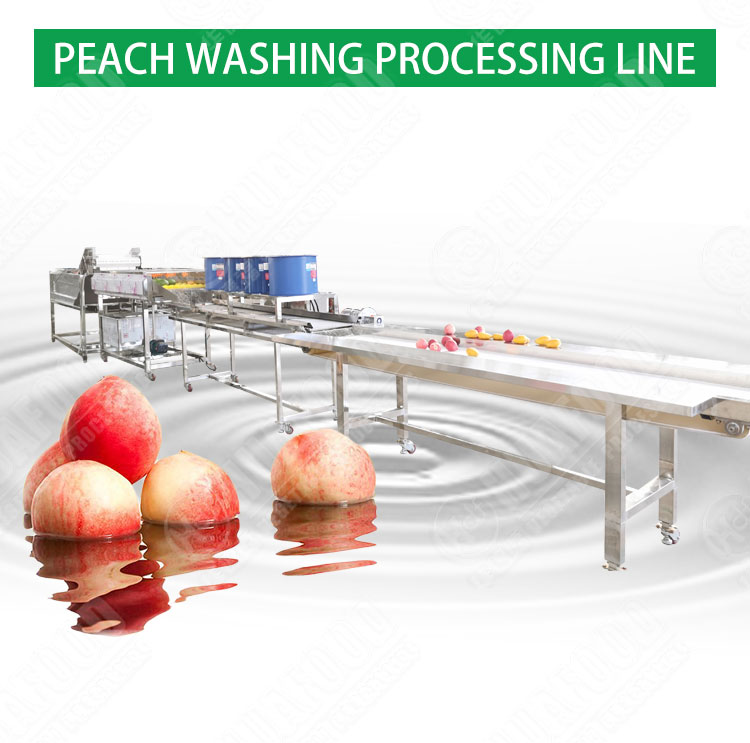 Hot selling Good Quality Factory Directly Drum Vegetable Washer by Huafood