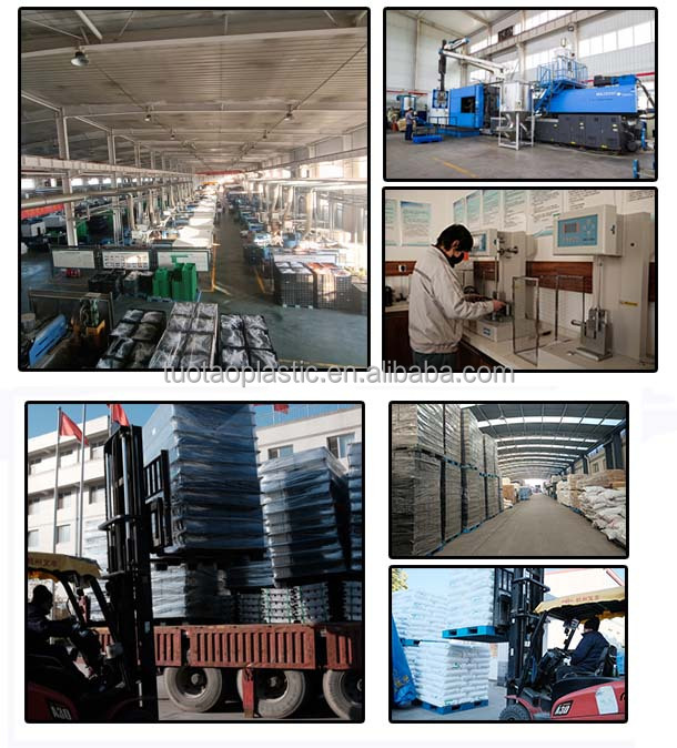 Storage Logistics Solution Heavy Duty Reversible Plastic Pallet with Customized Logo