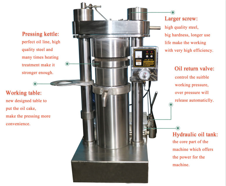 Single Phase Industrial Oil Press Machine Easy Operation With High Performance