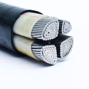 Marine PVC Power Cable Copper Core 2-5 Core 0.6-30KV