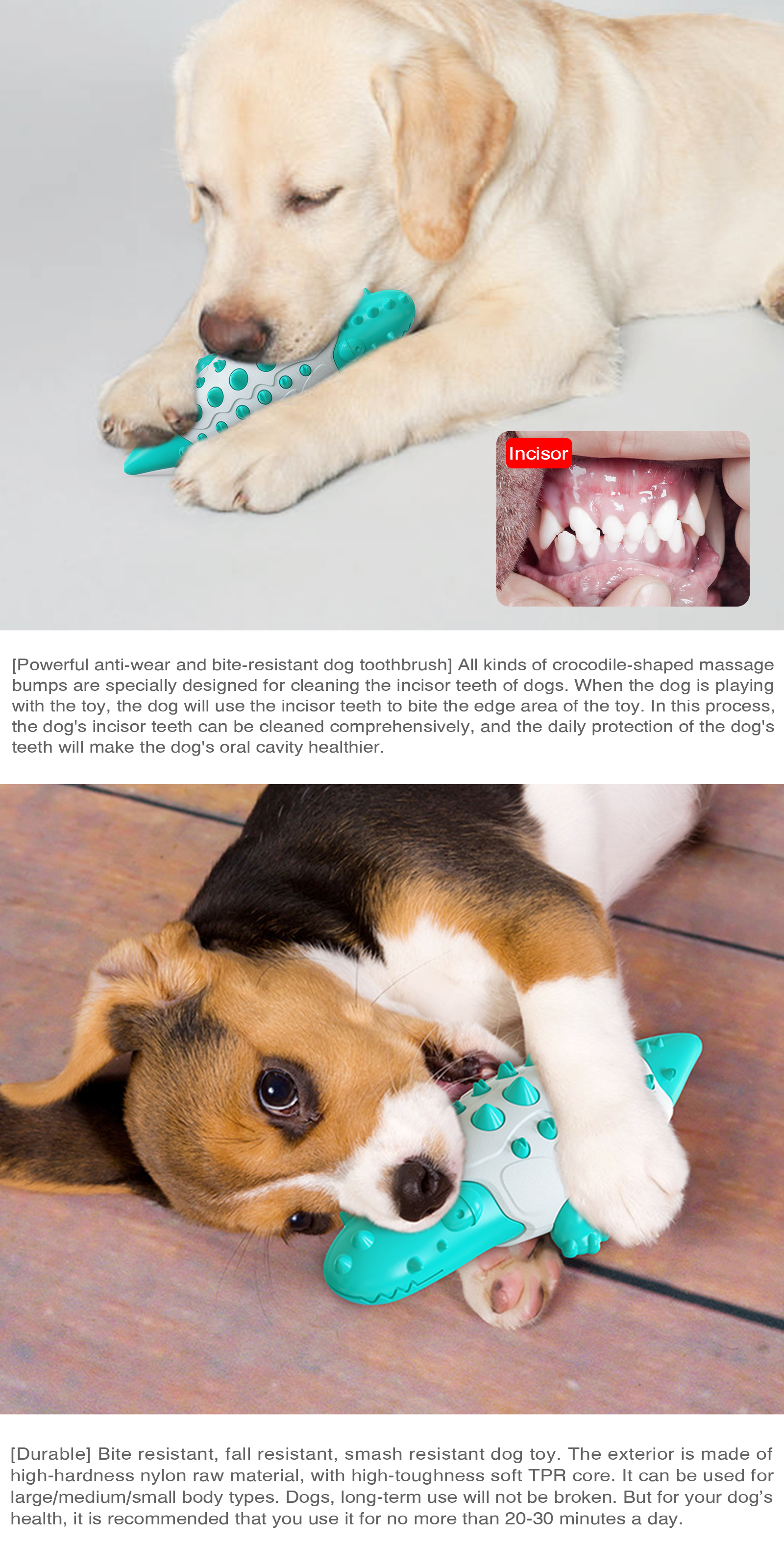 Explosive Crocodile Leaking Ball Resistant To Biting Dog Bite Toy Teeth Cleaning Molar Stick Toy