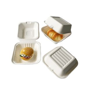China Eco-friendly customized fast food burger box with biodegradable clam shell on sale