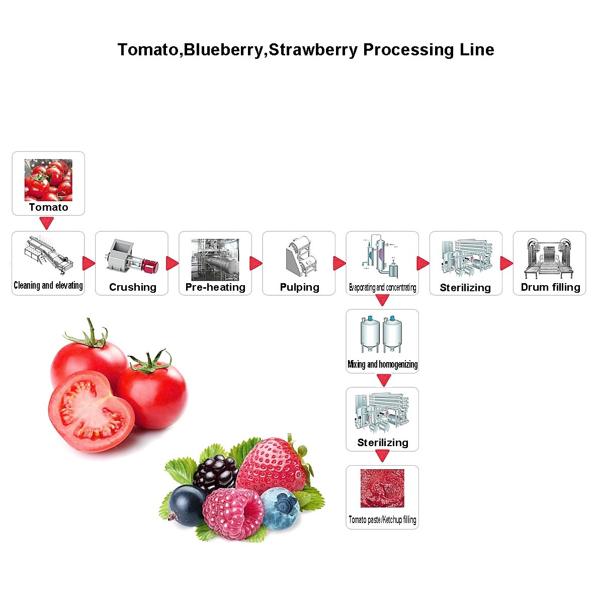 2TPH Tomato Paste Processing Line