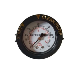  1/4&quot; NPT Swimming Pool Water Pressure Tester 60psi With ABS Ring Manufactures