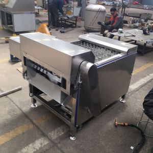 Hairtail Automatic Filleting Machine Multiple Fish 600kg/H Fresh Meat Slicer