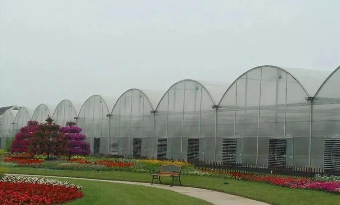 Single/Multi Span Film/Sun Board Greenhouse