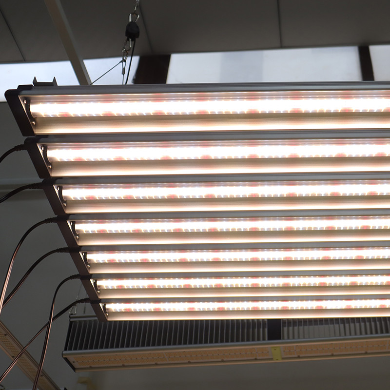 45w Strawberry Lettuce Veg LED Grow Light For Indoor Tissue Culture