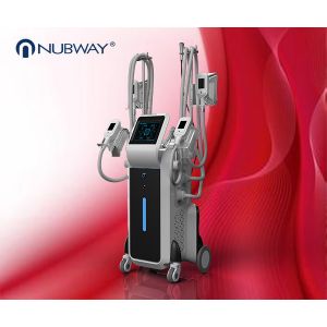 4 Handles Body Slimming Fat Freezing cryolipolysis slimming machine