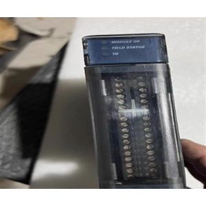 IC695ALG616 GE Fanuc Emerson Automation Non-Isolated Analog Input Module