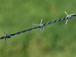 Protecting Mesh 500m Electric Hot Dipped Galvanized Barbed Wire with Electro Galvanized