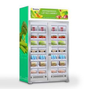 600W Locker Vending Machines , 220V hot fast food vending machine