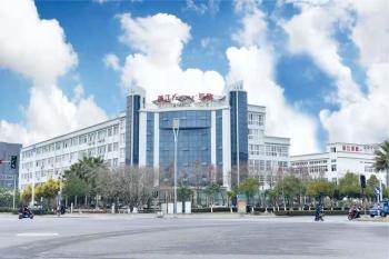 China BOSS excavator filter manufacturer
