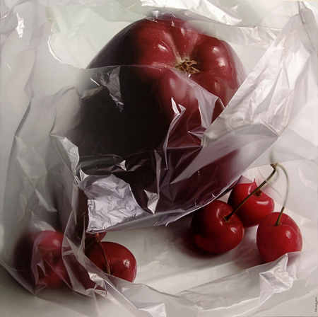 Customed Fresh-keeping Bag for Household Food Grade Vest Type Refrigerator in Even Roll