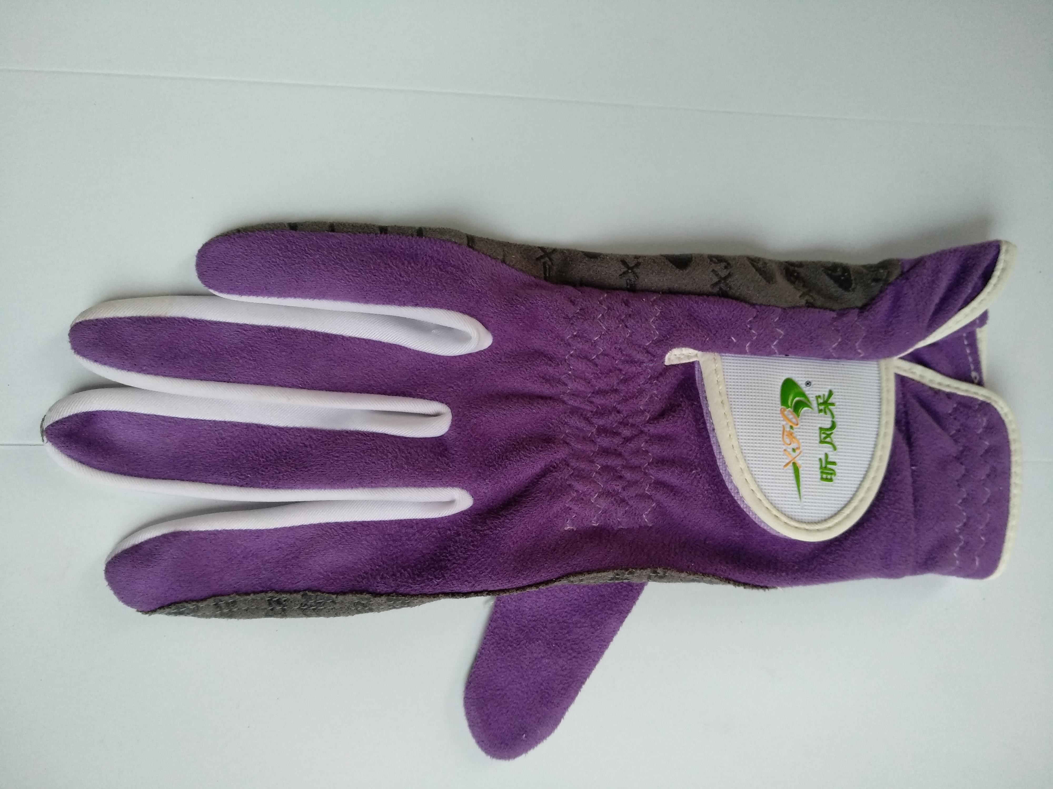 golf glove , golf gloves , glove , gloves