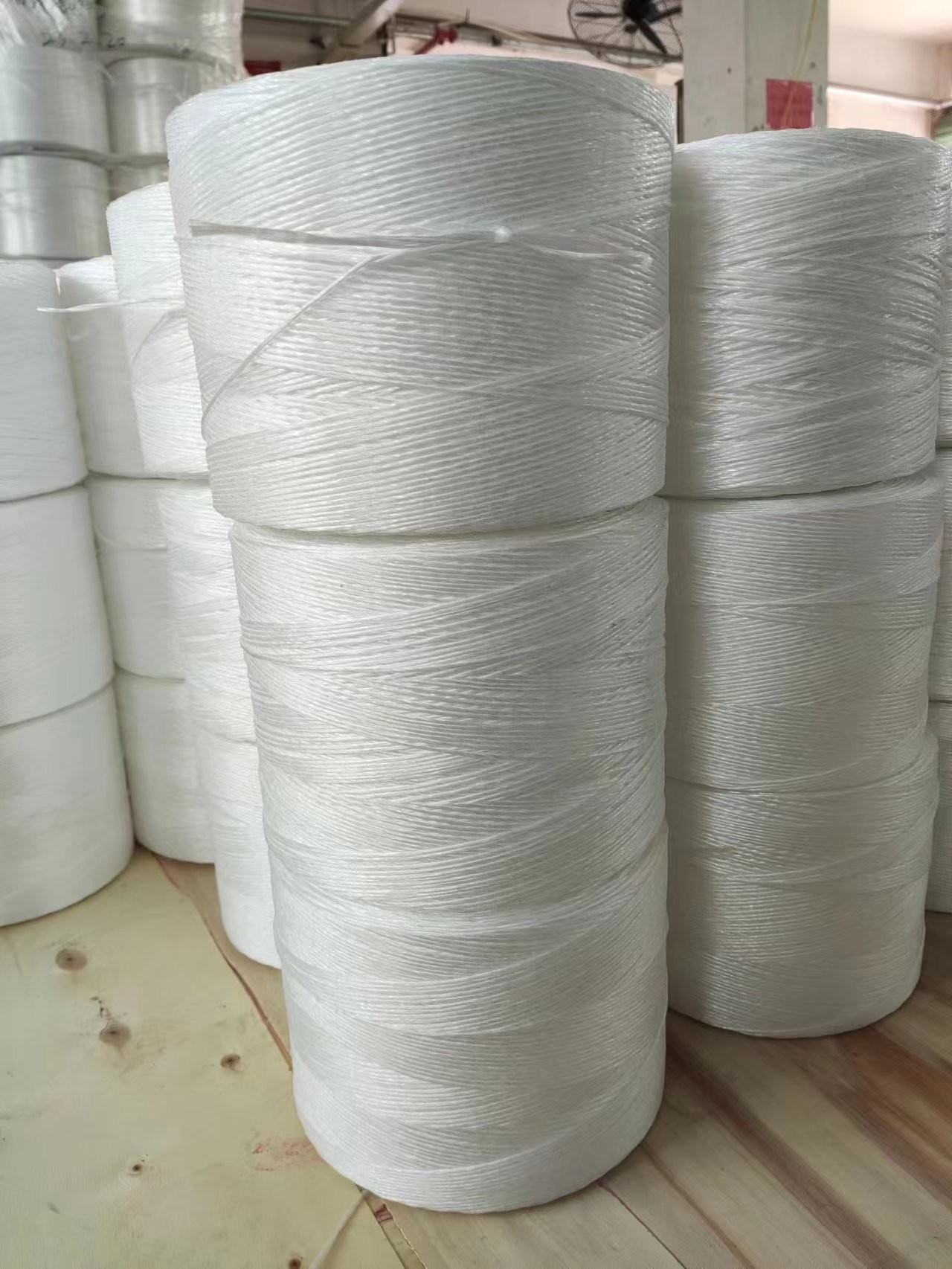 1000m/kg 1200m/kg White Polypropylene PP Tomato Grow Tying Strong Twine for Field or Greenhouse Use