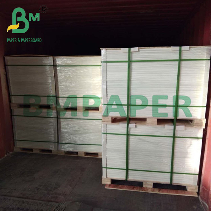 250um 260mm Heat Resistant Synthetic Brochure Paper