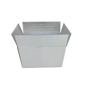 Custom Paper Type Paperboard Fruit And Vegetable for Transporting Frozen Cold