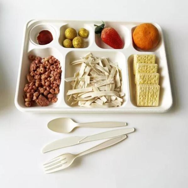 White Disposable Divided Plates Rectangle , Waterproof Rectangle Divided Paper