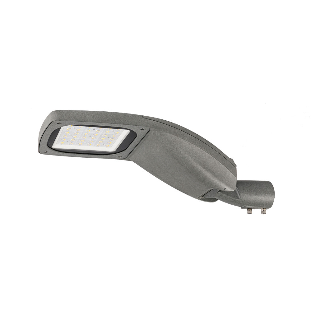 Anti Corrosion LED Street Outdoor Decorative Lights Die Casting Aluminium