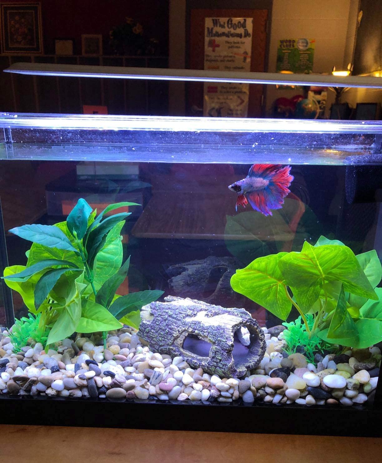 Landscape Trunk Fish Aquarium Ornaments