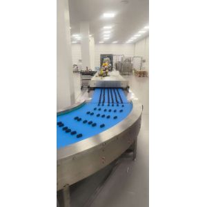 Automatic Multi-Row Energy Bar Production Line with 6 Row Output and 304
