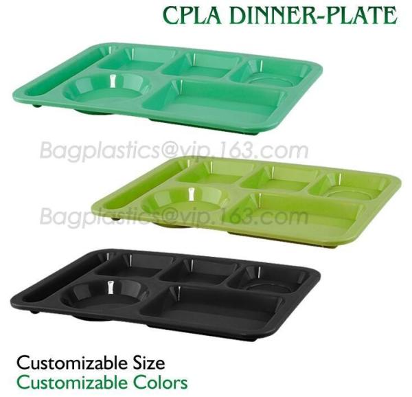 School use high quality biodegradable lunch plate for students, children plate