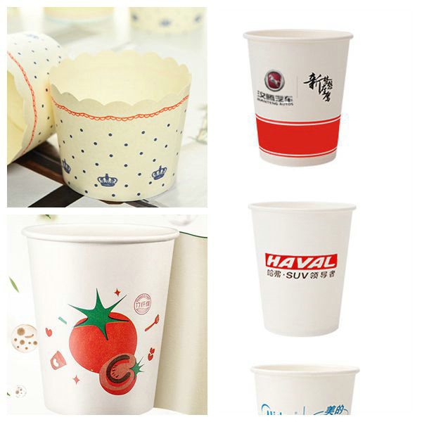 SGS Certificated 230g 260g PE Coated Cupstock Base Paper 850mm Roll