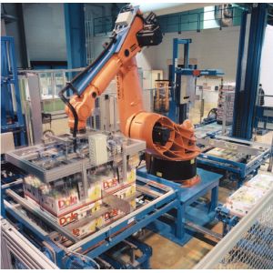 Rotary Scraping Robot Palletizing Equipment For Cartons Cans Containers