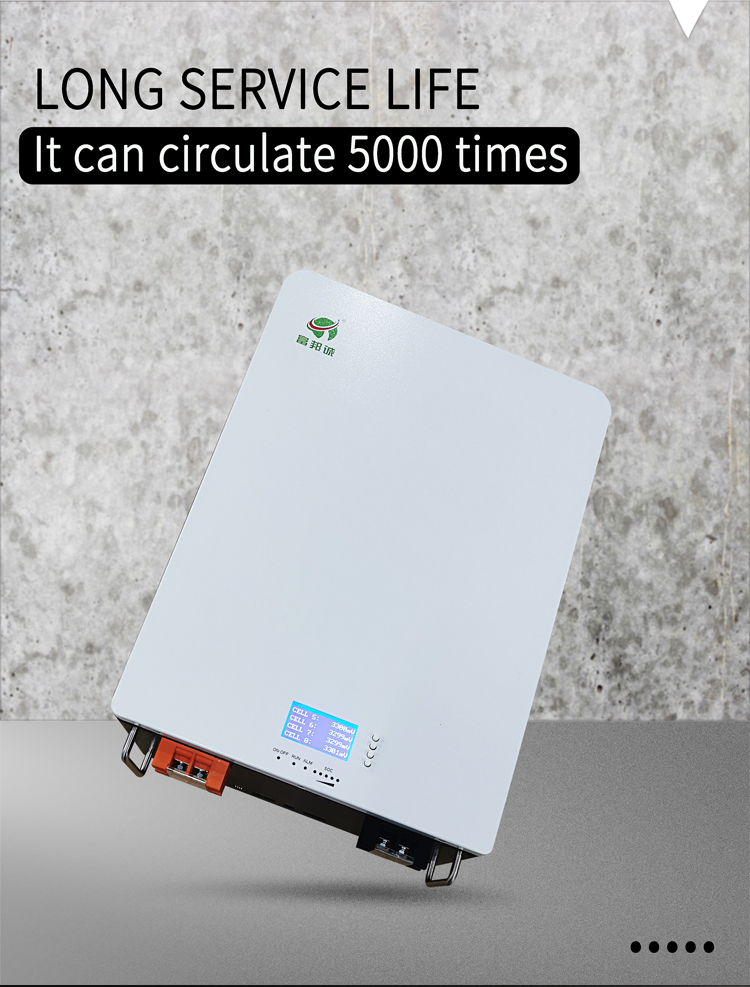Off Grid Solar PV Battery 100ah Lithium Battery Pack 48V Lifepo4
