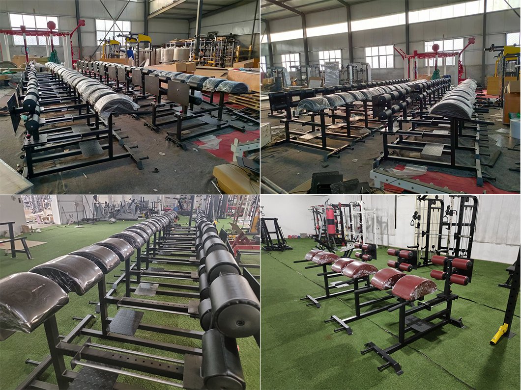 High Quality Gym Back Hyperextension GHD Glute Ham Developer Roman Chair