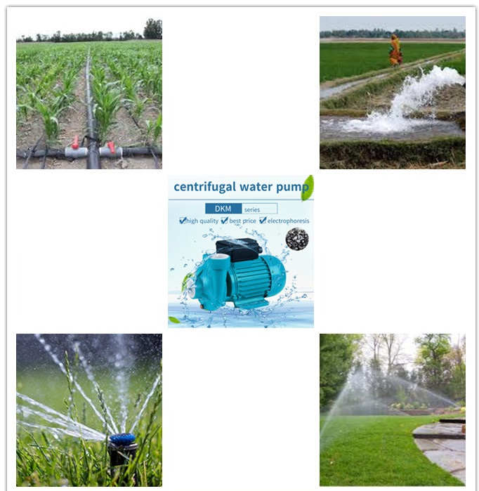 centrifugal water pump