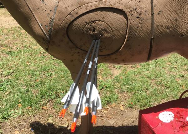 3d Target, Indoor Archery, Light Weight 19/64" spine 300/350/400/500/600