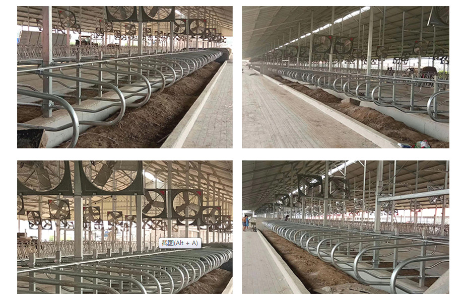 Head to head Type 1.30m/cow Fence Cattle Free Stall Adjustable Size