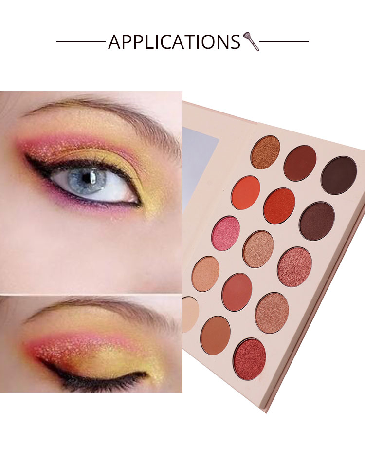 MSD Cosmetics 15 Colour Multi Color Eyeshadow Hot Silver Logo