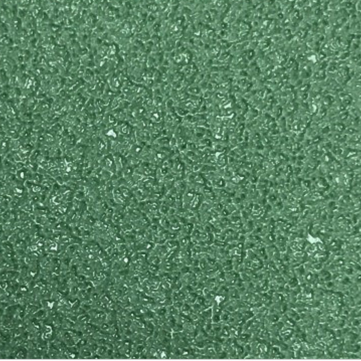 PUR / UV Treatment Indoor Gym Flooring Excellent Rebound Resilience Customized Color