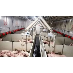 Efficiency and Sustainability in Piggery Farming Prefabricated Modular Building