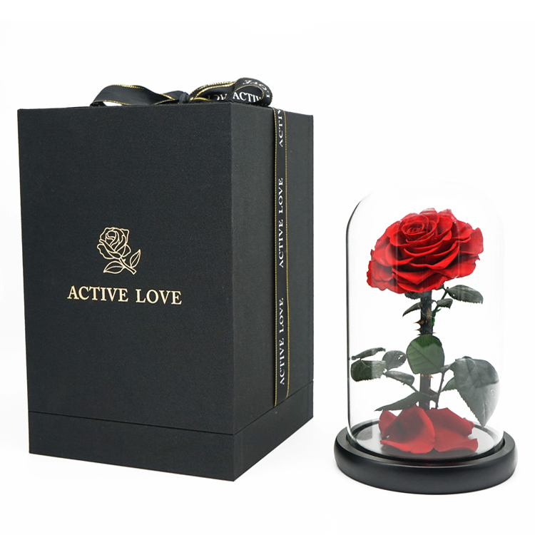 Everlasting Preserved Rose Glass Dome Bring A Unforgettable Experience