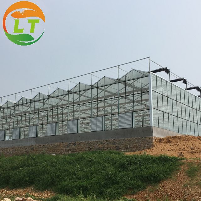 Film Covered Mushroom Cultured Greenhouse for Mushroom Cultivation and Easy Assembly
